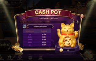 Cash Pot