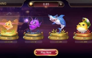 Royalx Game New App